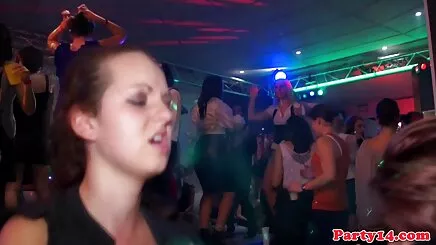 Auf cha chong bu lon con dau dem Bàn gefistet
