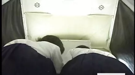 Cổ lỗ đôi vung trom con dau bo chong