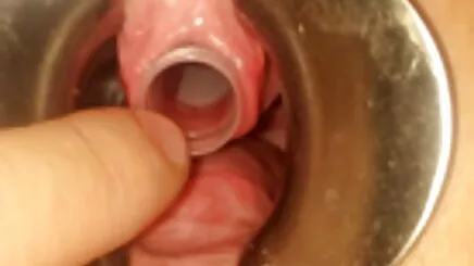 La phim sey bo chong nang dau Tinh