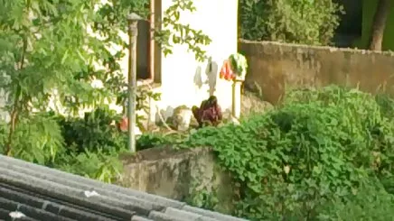 Nghiệp dư sex bô chong nang dau béo gái